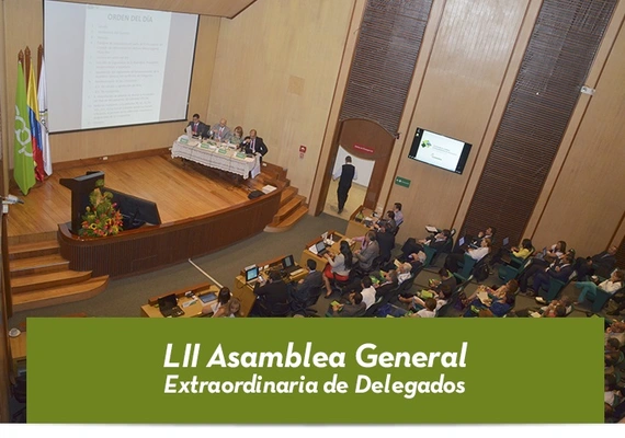 LII Asamblea General Extraordinaria de Delegados