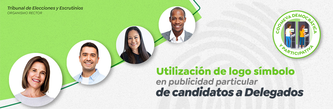 Utilización de logo símbolo en publicidad particular de candidatos a Delegados