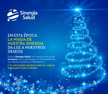 p_SINERGIA_Navidad_DIC2014