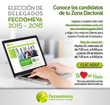 p_FECO_ELECCIONES_FEB2015