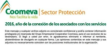 Firm_CF_Sector-Protección