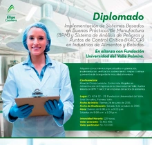 diplomadoPAL_01