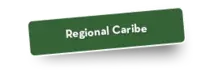 50113 Caribe