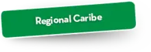 33399 Regional Caribe