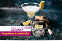 50234 Vive Gourmet