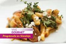 50224 Vive Gourmet