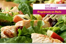 50217 Vive Gourmet