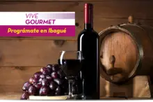 50215 Vive Gourmet
