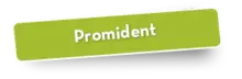 50510 Promident