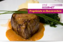 50639 Vive Gourmet