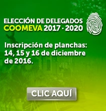 img_EleccionPlanchas_DIC2016