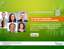 Emailing-Planchas_DIC2016