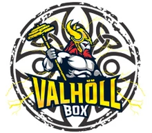 logo_VALHOLL