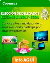 img_Eleccion_FEB2017