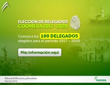 Emailing-Elecc_100Delegados