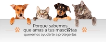 cab_Mascotas