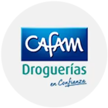 53253 Logo Cafam - Gris
