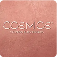 53369 Logo Cosmos