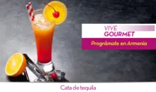 53954  - Vive Gourmet