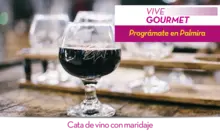 53987 - Vive Gourmet