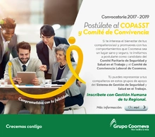 COPASST Y COMITÉ CONVIVENCIA