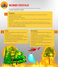 10_IncendiosForestales