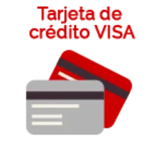 54418 Icono Tarjeta Visa