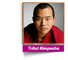 49887 Tritul Rimpoche