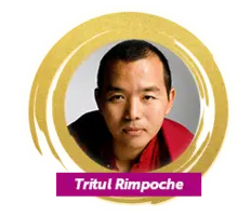 49887 Rimpoche