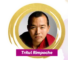 Tritul Rimpoche 2