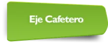 56568 - Eje Cafetero