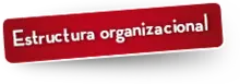 56632 Estructura organizacional