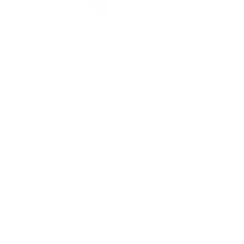 isla-con-palmeras