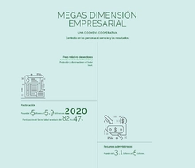 Mega dimension empresarial - Grande