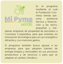 MiPymeverde2