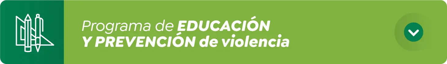 Programa de educación y prevención de violencia 