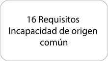 16 Requisitos 