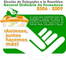 ifeco_elecciones3