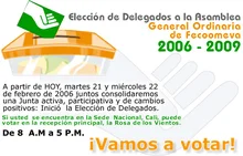 ifeco_elecciones5