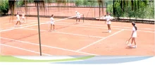 C8421_26631_tennis_06