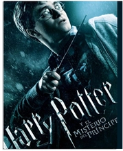 30193_Cine-club-juvenil-en-Bucaramanga-Harry-Potter-VI_03