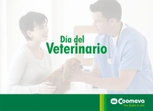veterinario