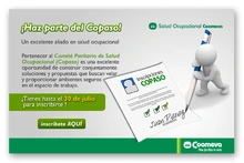 p_copaso2010