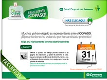 p_copaso2010_2