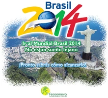p_brasil2014