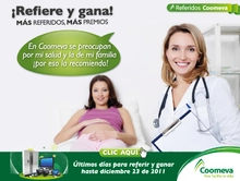 p_referidos_embarazada