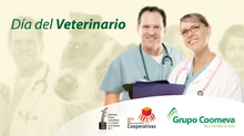 tar_veterinario