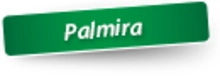243738_palmira