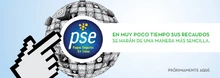 nb2014_Banco_PSE_Empresas