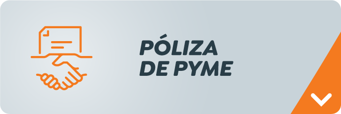 Póliza de Pyme